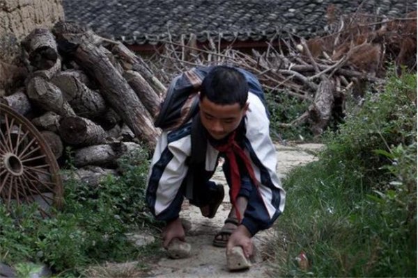 网络图片(侵删)
