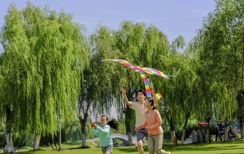 网络图片(侵删)