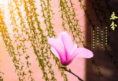 ​明日春分，遵循老传统，牢记“3大习俗、2大禁忌”，日子更顺畅