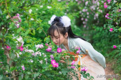 ​李商隐的爱情故事（关于诗人李商隐的三段感情经历）