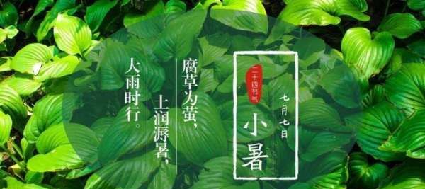 小暑是几月几日,小暑的时间是什么?图2