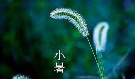 小暑是几月几日,小暑的时间是什么?图1