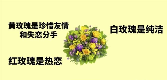 情人节送女朋友什么花，情人节给女朋友送什么花？图3
