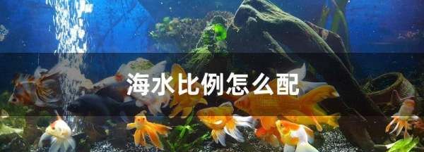 斤水放多少海盐做海水,1000斤水放多少海盐图3