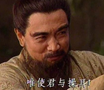​曹操的儿子那么多 曹丕是怎么从二十多个兄弟中脱颖而出