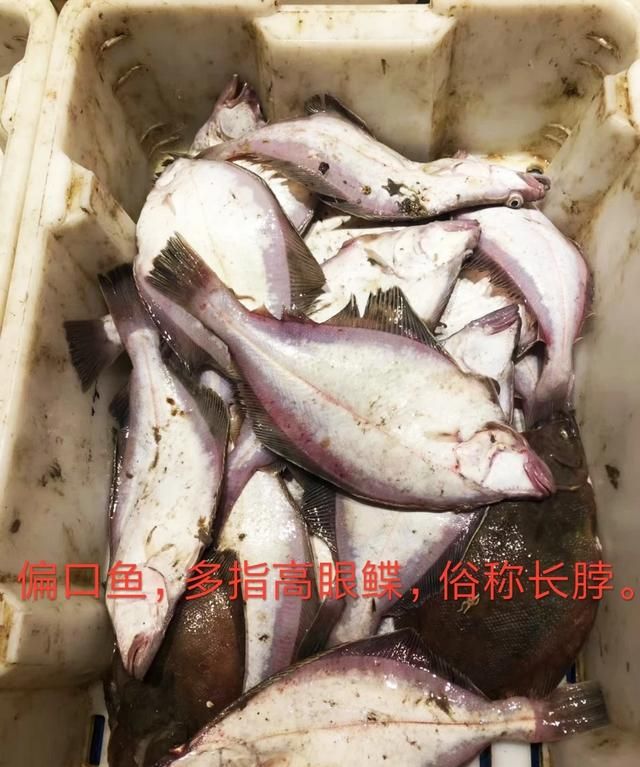 多宝鱼有鱼鳞吗，多宝鱼有鱼鳞吗？图6