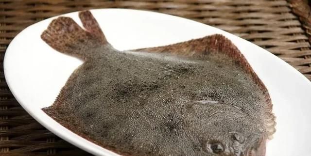 多宝鱼有鱼鳞吗，多宝鱼有鱼鳞吗？图3