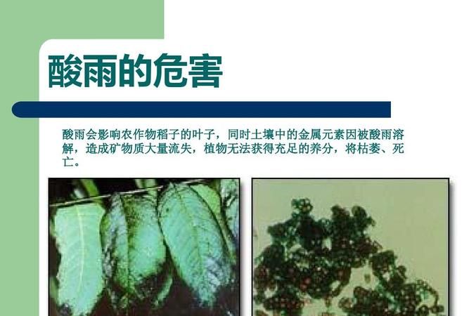 简述酸雨的成因及其危害