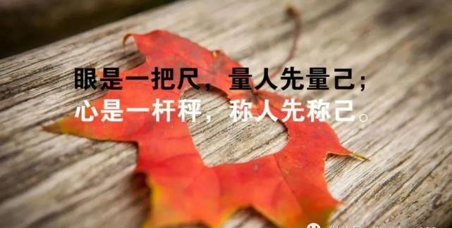 酒色人生感悟经典句子