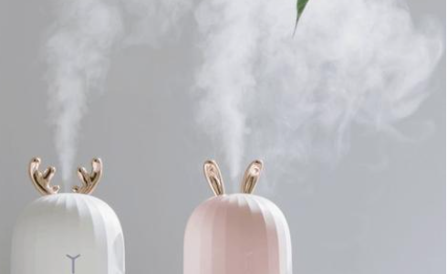 加湿器里可以放精油,加湿器里适合加精油吗图4