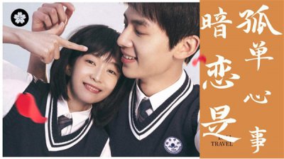 ​盛淮南洛枳结局是什么样的（《暗恋·橘生淮南》结局解析）