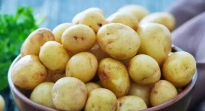 ​怎么保存土豆不发芽不变绿,土豆怎么样保存才能不发芽