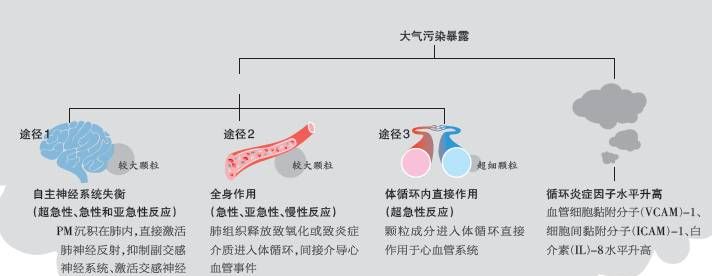 雾霾的形成及危害,雾霾是怎么形成的,有什么危害