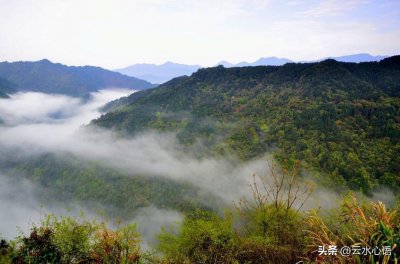 ​古诗山中王勃诗意全解（王勃的魅力无穷，王维的禅意浓浓）