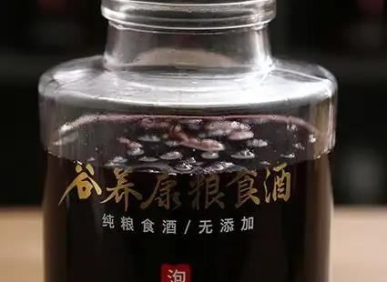 沙棘果可以泡酒喝,沙棘果泡酒的制作方法图2