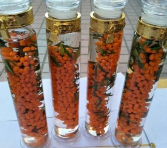​沙棘果可以泡酒喝,沙棘果泡酒的制作方法