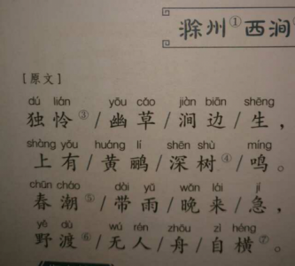 ​滁州西涧古诗意思，滁州西涧古诗的意思？