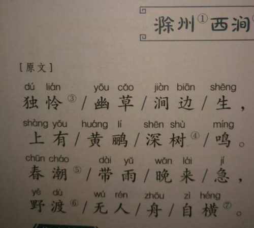 滁州西涧古诗的意思