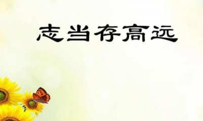 ​志当存高远什么意思，志当存高远下一句什么意思？