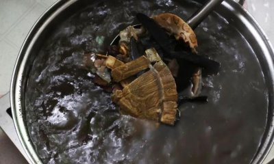 ​龟苓膏里有乌龟吗，龟苓膏和凉豆腐差别？