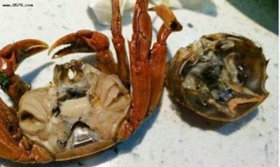 ​螃蟹死后多久还可以吃，螃蟹死多久变色？
