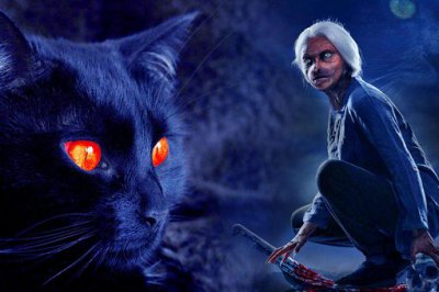 ​猫脸太太事件版本，猫脸老太太事件是真的吗