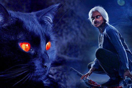猫脸老太太事件是真的吗?猫脸老太太是否真实存在?