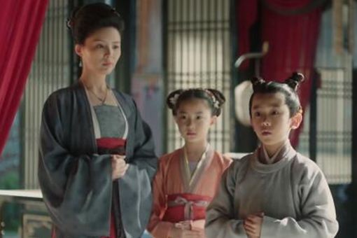 赵宗实外号为什么叫十三团练 十三团练什么意思