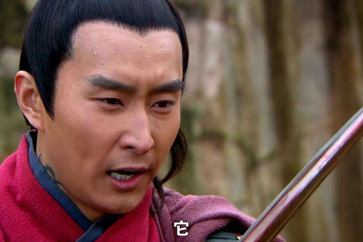 杨再兴是杨家将的后代吗?