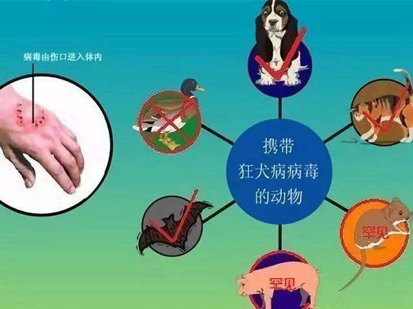 患上艾滋病可以活多久?艾滋病可以治愈吗（无法治愈）