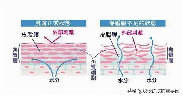 坚持用水乳皮肤会有什么样的改善（水乳是干嘛的）