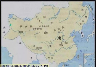 ​历史上的匈奴人是现在什么地方（新疆人是匈奴还是突厥）