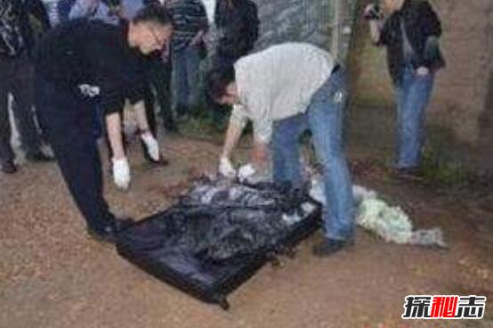 李昌钰谈南大碎尸案，称没有物证再多的推理都没用