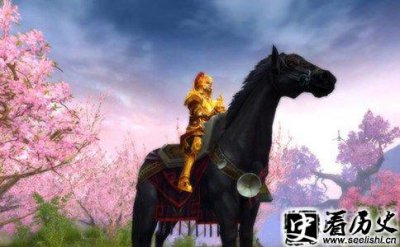 ​曹操坐骑是什么
