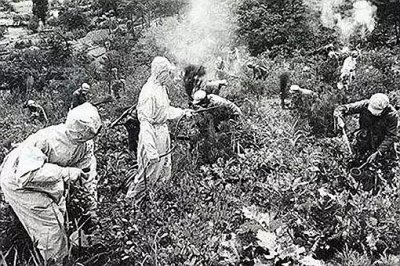 ​1952年美军细菌战是真的吗 1952年美军细菌战全过程