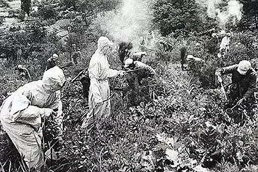 1952年美军细菌战是真的吗 1952年美军细菌战全过程