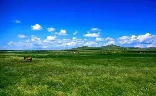 内蒙旅行社哪家好(内蒙旅行社十强排行榜)-第2张图片-