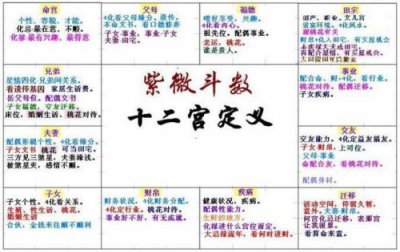 ​紫微斗数排盘怎么看盘？紫微斗数排盘怎么看流年