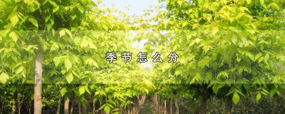 ​季节怎么分，3种方式季节划分