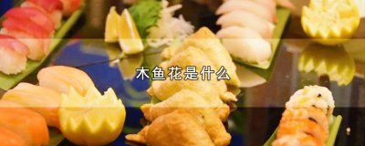 ​木鱼花是什么