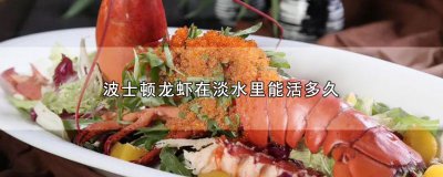 ​波士顿龙虾在淡水里能活多久