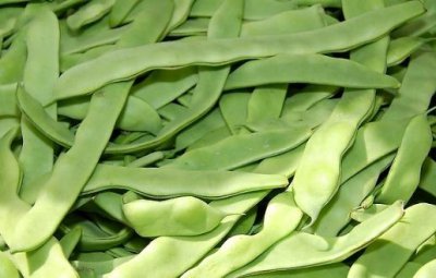 ​6种蛋白质来源 可替代的高蛋白食物大揭秘