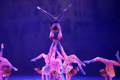 ​杂技表演有哪些节目(杂技表演有哪些动物)