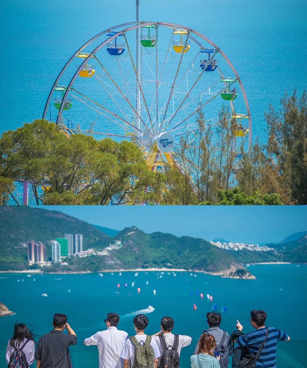 香港海洋公园攻略(香港海洋公园门票多少钱一张)