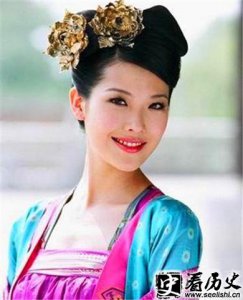 ​卫青与平阳公主的关系