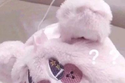 ​别人说你是小可爱是什么意思