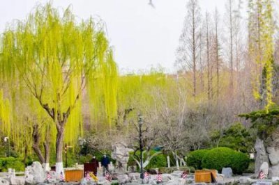 ​春色破晓指什么数字