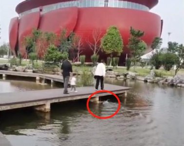 ​淡定到底是什么意思