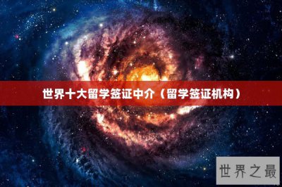 ​世界十大留学签证中介（留学签证机构）