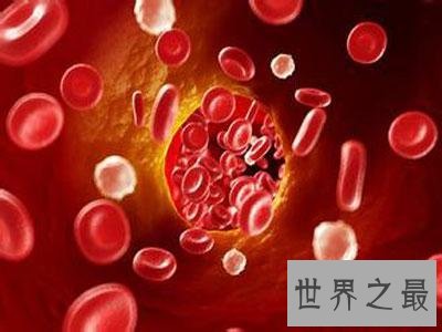 人体中最长的细胞有多长，1米以上(没有卵细胞大)